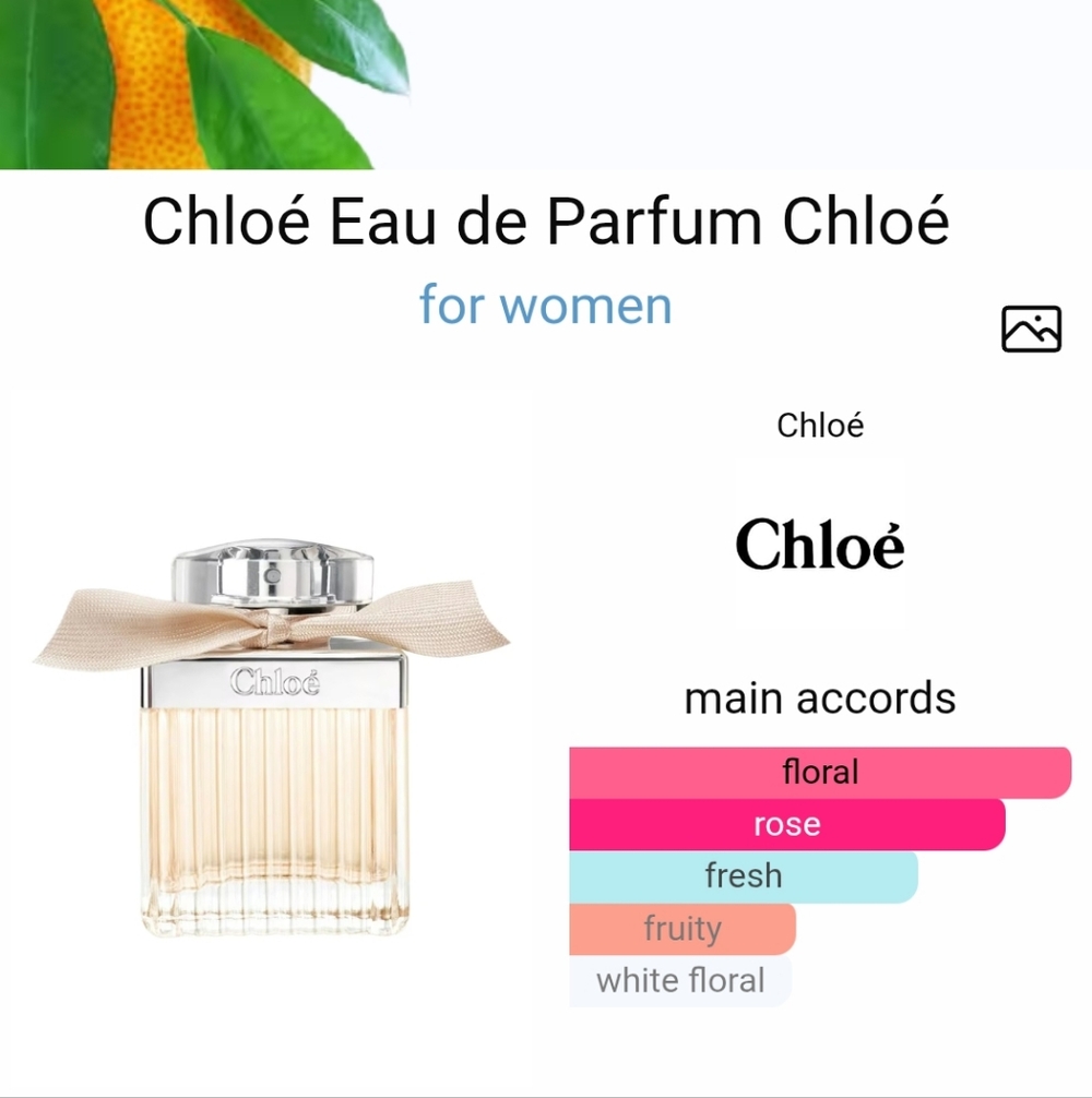 Chloe Lot samples - Picture 11 of 15